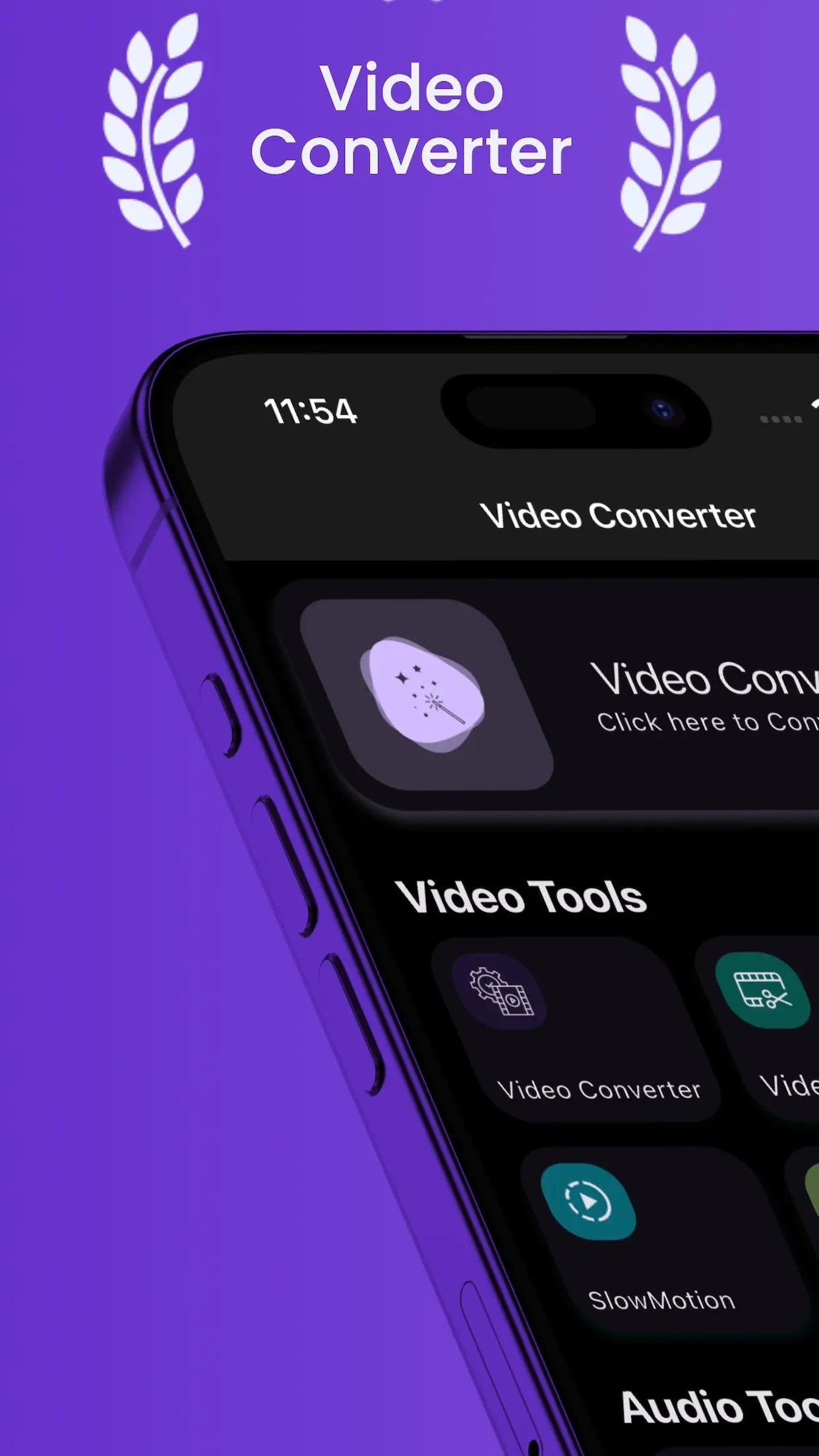Video Converter home and conversion options
